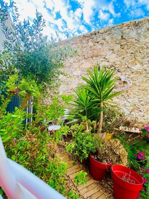 Havre De Paix Avec Jardin Et Clim En Centre Ville De Sete Luaran gambar