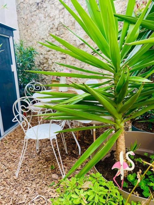 Havre De Paix Avec Jardin Et Clim En Centre Ville De Sete Luaran gambar