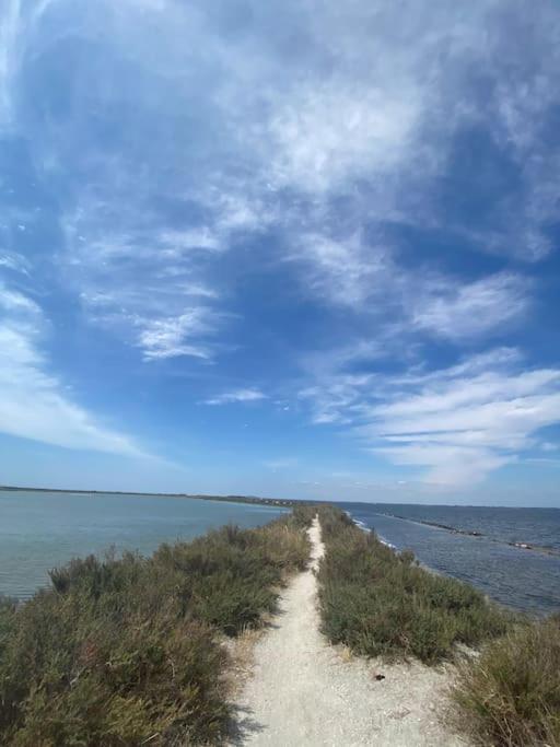 Havre De Paix Avec Jardin Et Clim En Centre Ville De Sete Luaran gambar